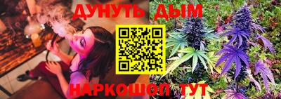 сатива Донской