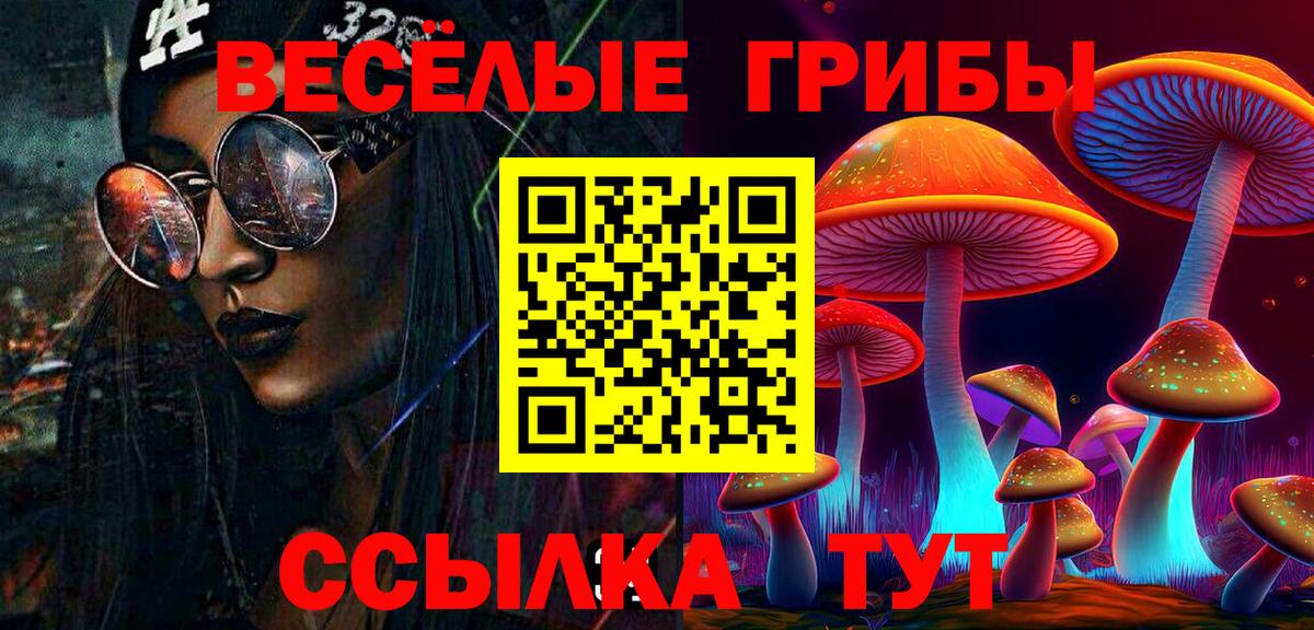 Можга  Псилоцибиновые грибы прущие грибы  Галлюциногенные грибы Psilocybine cubensis  Вход с VPN 