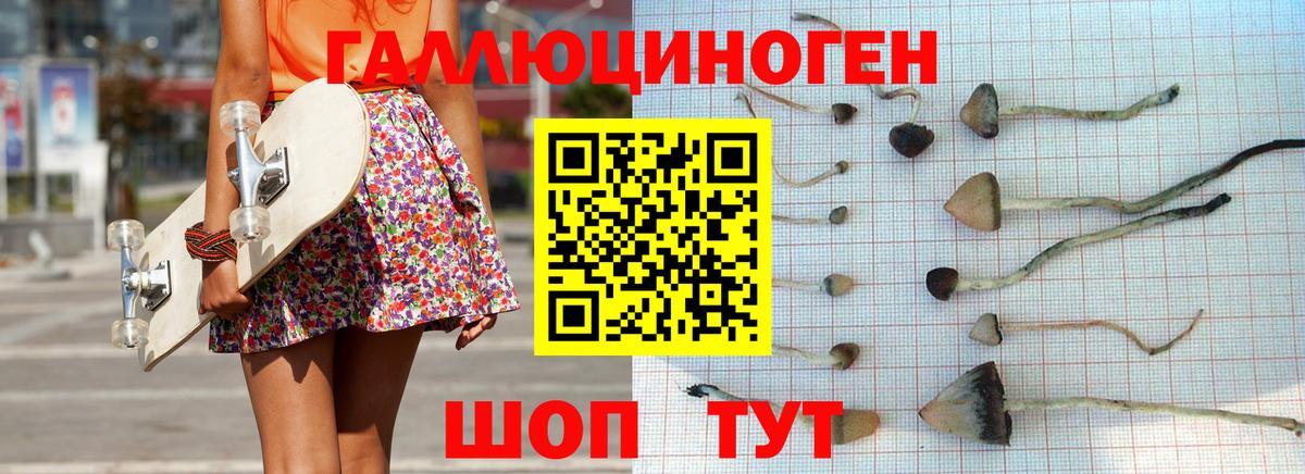 Псилоцибиновые грибы ЛСД Можга